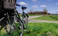 rower na wiosnę